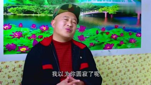 乡村爱情就背景音乐,悠扬乡音，唤醒记忆深处的温馨时光